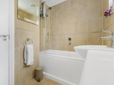 Picture 21